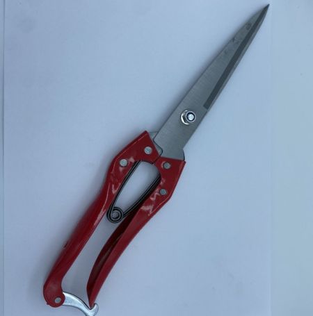 Ножницы для стрижки овец красные (100)